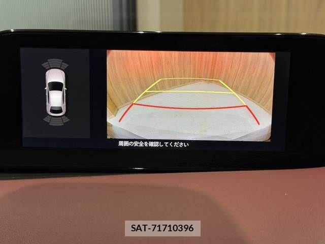 Mazda MAZDA3 2019-08 8036599-7