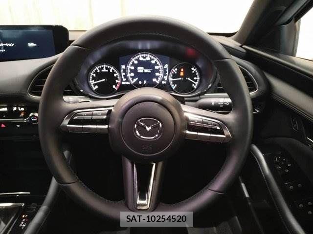 Mazda MAZDA3 2020-03 8074470-13