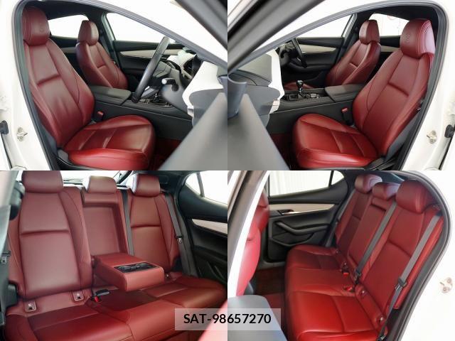 Mazda MAZDA3 2020-09 8131109-17