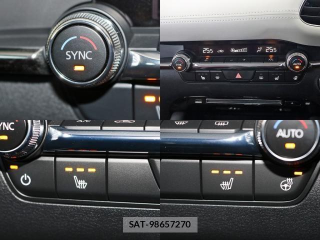 Mazda MAZDA3 2020-09 8131109-18