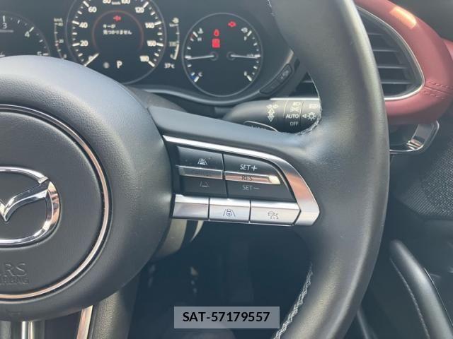Mazda MAZDA3 2019-09 8315309-14