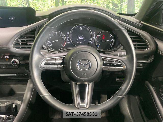 Mazda MAZDA3 2019-09 8525655-10