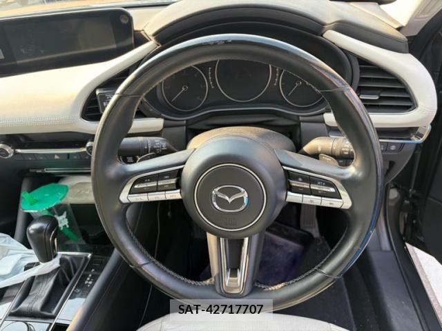 Mazda MAZDA3 2019-09 7221405-15