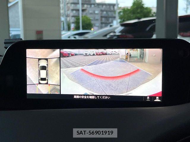 Mazda MAZDA3 2019-08 7272276-3