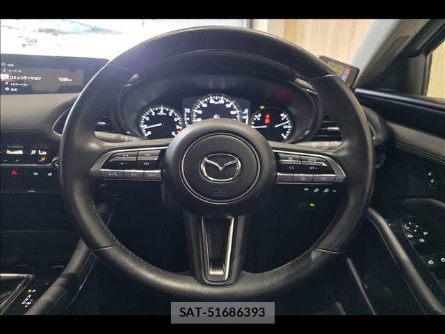 Mazda MAZDA3 2019-07 7725378-11