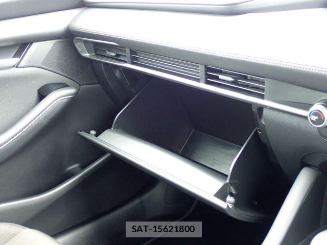 Mazda MAZDA3 2021-06 8485695-15