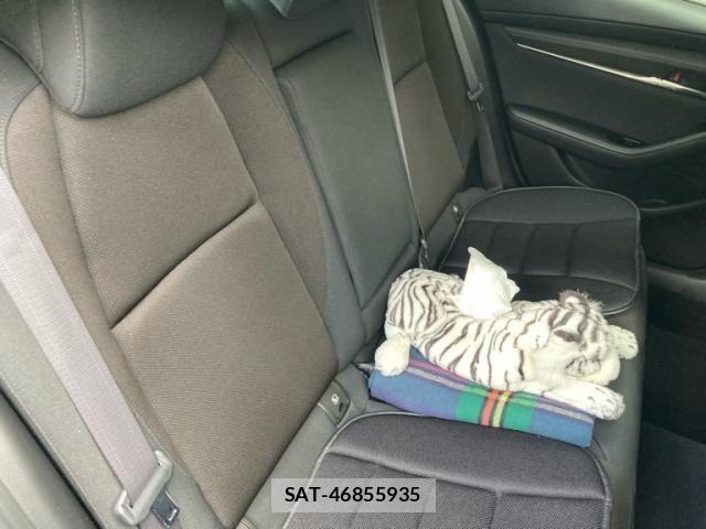 Mazda MAZDA3 2019-08 8743675-9