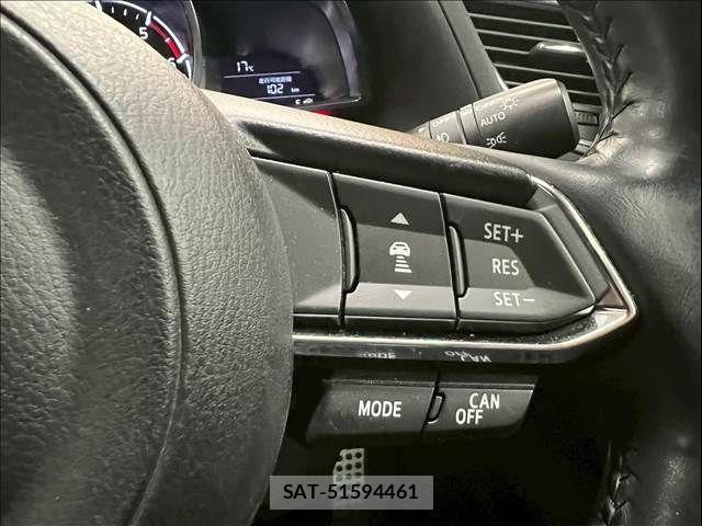 Mazda AXELA SPORT 2017-03 6216616-5