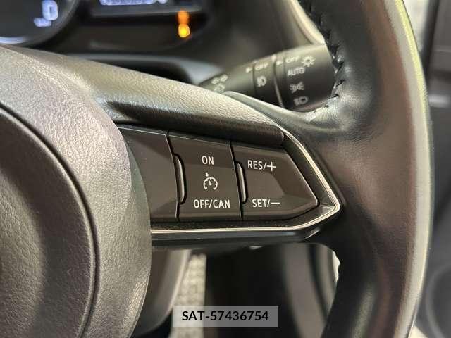 Mazda AXELA SPORT 2017-04 6216618-13