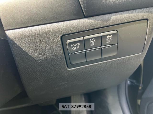Mazda AXELA SPORT 2017-04 7392745-18