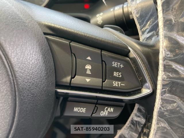 Mazda AXELA SPORT 2017-06 8413432-21