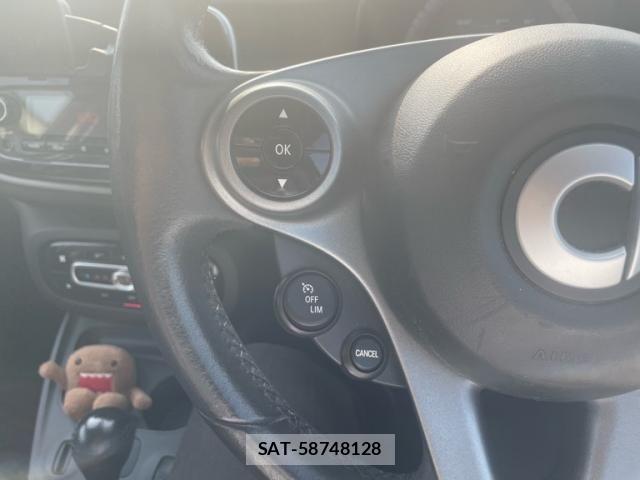 Mcc SMART 2016-06 8100298-15