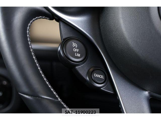 Mcc SMART 2017-06 8366881-10