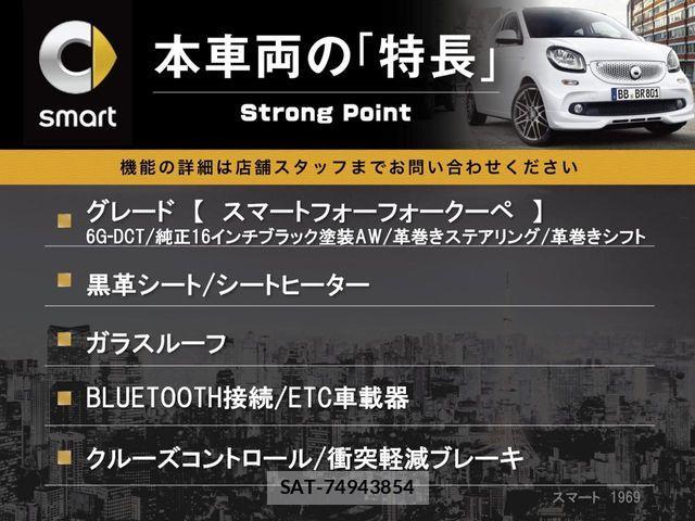 Mcc SMART 2017-08 8627600-2