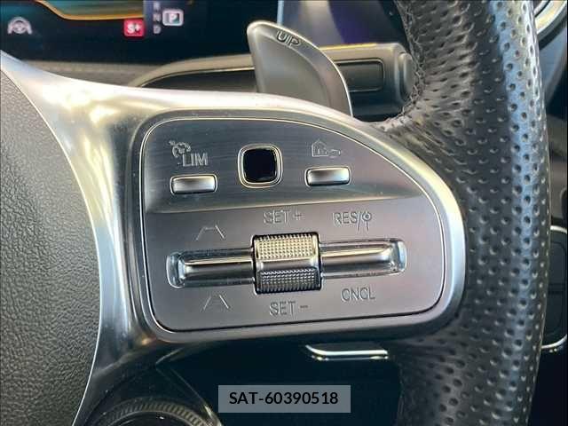 Mercedes Benz A-CLASS 2020-11 4421990-10