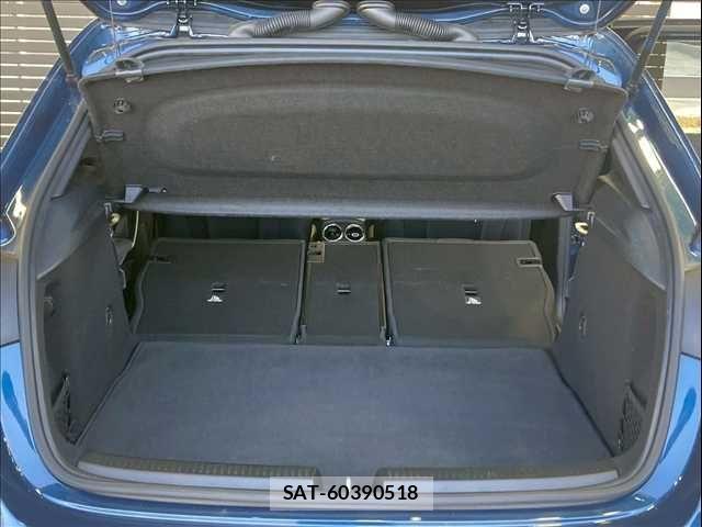 Mercedes Benz A-CLASS 2020-11 4421990-17