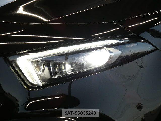 Mercedes Benz A-CLASS 2021-05 7221436-19