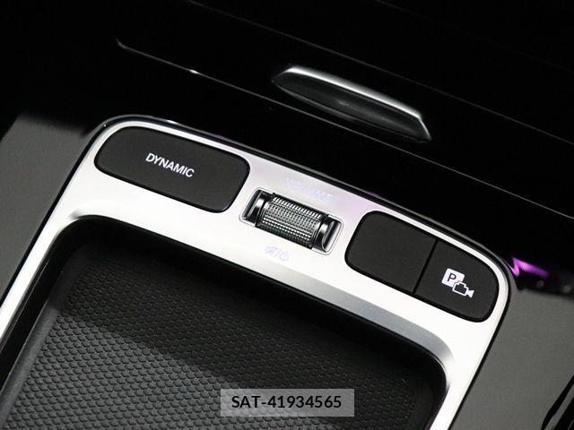Mercedes Benz A-CLASS 2024-08 7979860-19