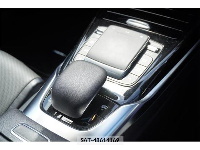 Mercedes Benz A-CLASS 2020-11 7979858-27