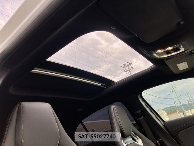 Mercedes Benz A-CLASS 2020-12 8743680-13