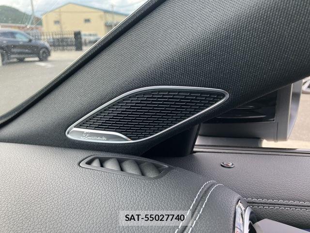 Mercedes Benz A-CLASS 2020-12 8743680-15