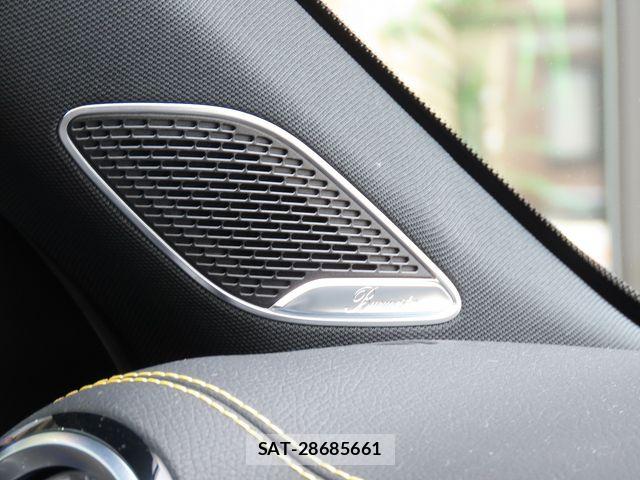 Mercedes Benz A-CLASS 2024-12 8796579-13