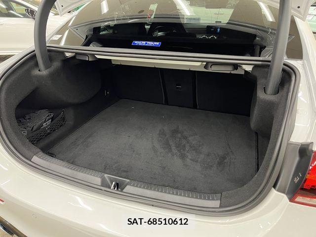 Mercedes Benz A-CLASS 2019-12 8100306-5
