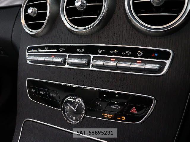 Mercedes Benz C-CLASS 2019-06 7877598-25