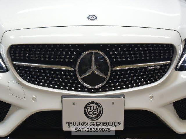 Mercedes Benz C-CLASS 2017-02 4176162-25
