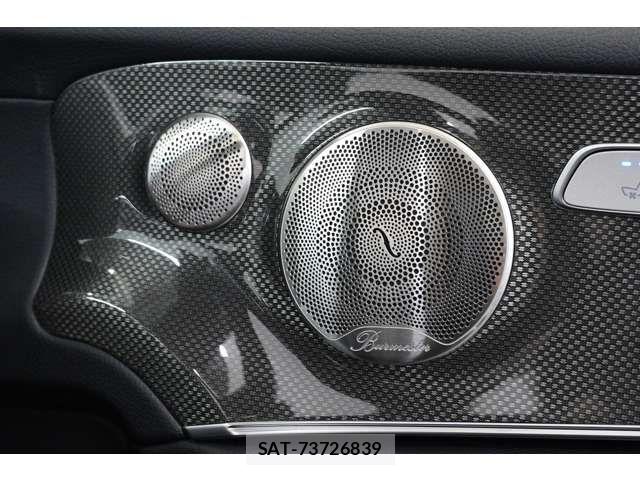 Mercedes Benz E-CLASS 2023-04 8074488-10