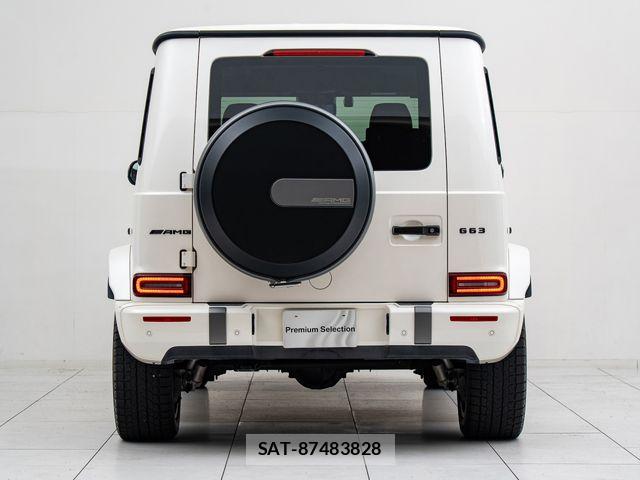 Mercedes Benz G-CLASS 2018-12 7251438-10