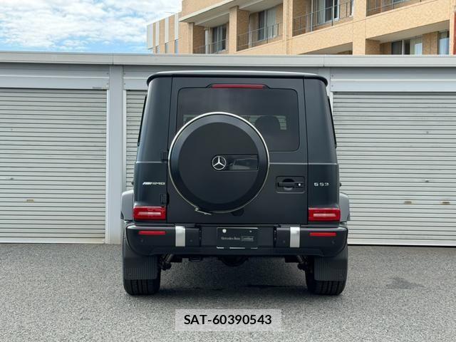 Mercedes Benz G-CLASS 2024-03 8036617-15