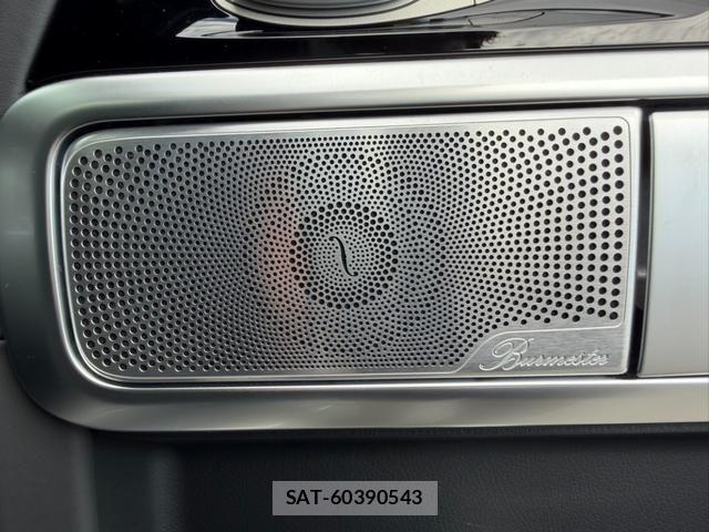 Mercedes Benz G-CLASS 2024-03 8036617-8