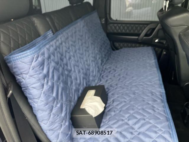 Mercedes Benz G-CLASS 2018-03 8036618-10