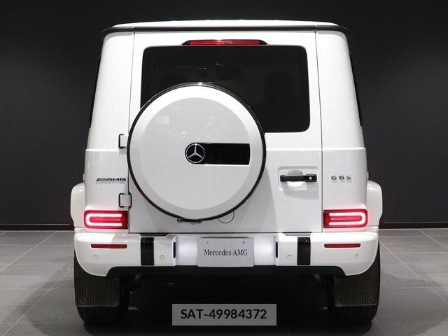 Mercedes Benz G-CLASS 2024-03 8525669-14