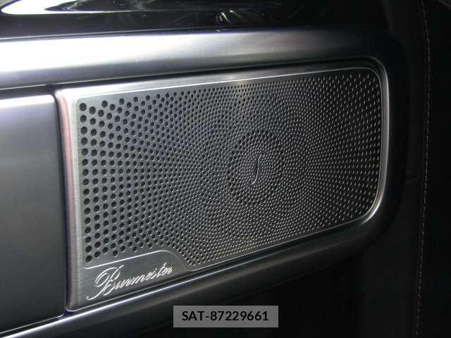 Mercedes Benz G-CLASS 2023-01 8685911-11