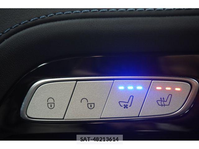 Mercedes Benz G-CLASS 2025-01 8796588-19