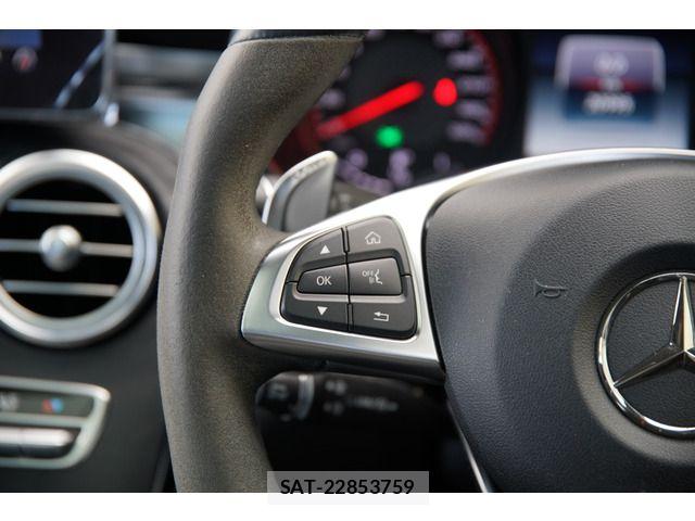 Mercedes Benz GLC-CLASS 2018-12 7877619-12