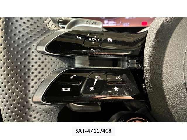 Mercedes Benz GLC-CLASS 2025-06 7501412-12