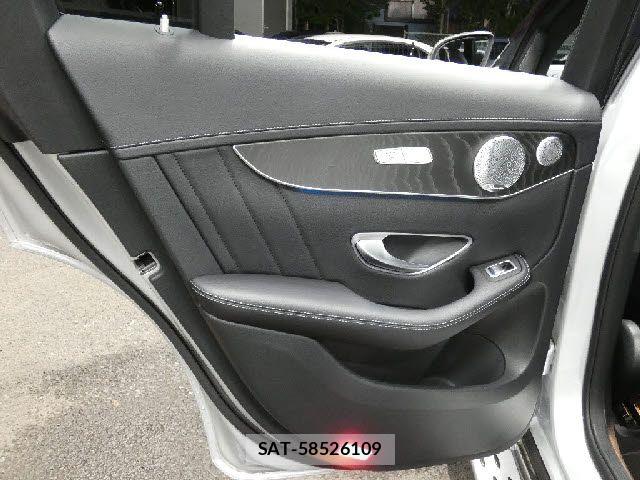 Mercedes Benz GLC-CLASS 2017-04 8660122-21