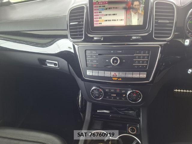 Mercedes Benz GLE-CLASS 2016-04 7877621-25