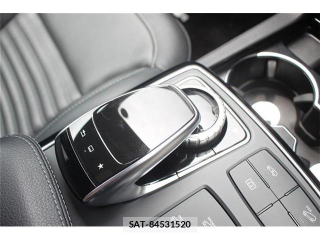Mercedes Benz GLE-CLASS 2016-04 8131128-5
