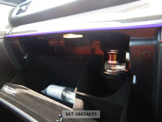 Mercedes Benz GLE-CLASS 2021-06 7455621-25