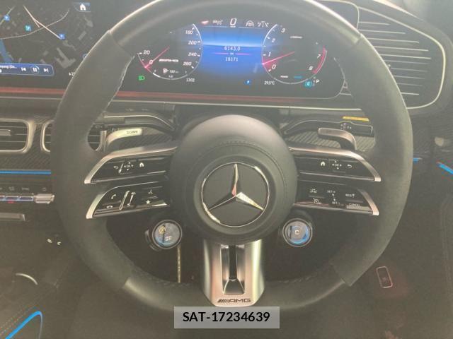 Mercedes Benz GLE-CLASS 2023-09 8743724-11