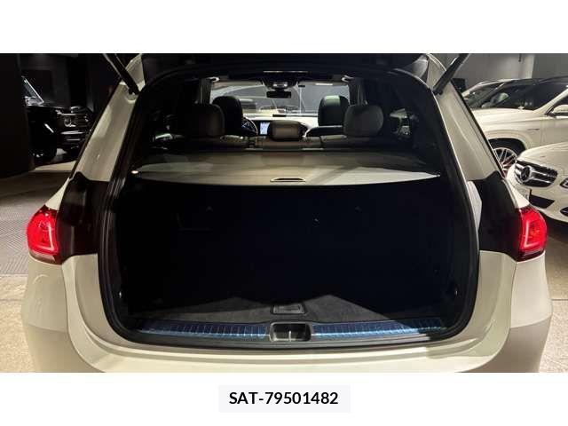 Mercedes Benz GLE-CLASS 2021-05 4139975-9
