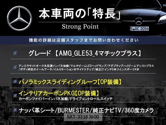 Mercedes Benz GLE-CLASS 2021-11 7501413-2