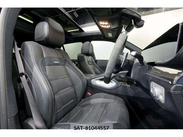 Mercedes Benz GLE-CLASS 2023-06 7725420-10