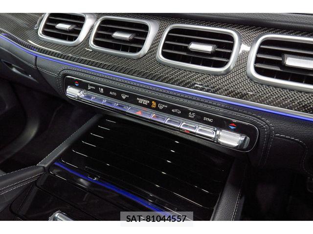 Mercedes Benz GLE-CLASS 2023-06 7725420-19