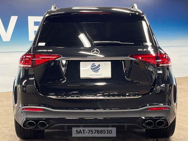 Mercedes Benz GLE-CLASS 2021-06 7725419-16