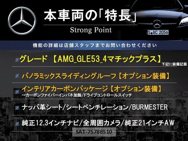 Mercedes Benz GLE-CLASS 2021-06 7725419-2